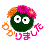 ころころ苔玉（文字入り）
