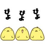 ヒヨコ×3