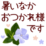 花＊夏によく使う気づかい言葉とあいさつ