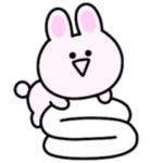 全部一緒がいい♡ミニうさぎ　※再販