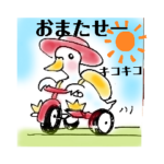 インコのコメとあずきと愉快な仲間たち④