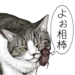 意外と使えるリアルペットスタンプ