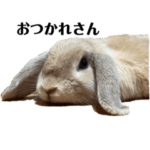 関西弁を話すウサギのチャコver.1.0