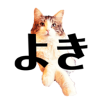 猫ラジスタンプ