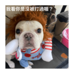 CiShuo_20220612193232