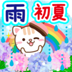 大人のためのねこの初夏と雨の日の気遣い♪