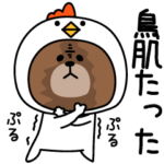 毎日ブラウンそこそこシンプル