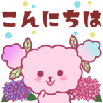 あじさいトイプードル