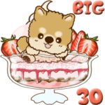 ちゃちゃ丸 30 『Sweets 2』