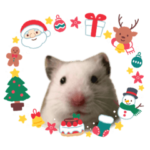 ハムスター Christmas & 2022年あけおめ編