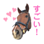 名城大学馬術部の馬たち2