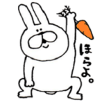 うさぎ時々ひよこ。