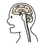 医学に励む人用スタンプ3