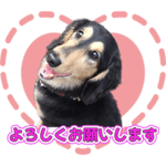 リクとトトロのLINEスタンプ