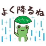 大人シンプル♥お天気