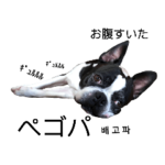 気付けば覚えちゃってる楽チン韓国語③