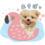 さぬき2022年〜夏〜