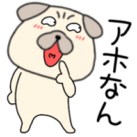 パグ犬のぱーちゃん31