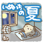 いぬっちの夏