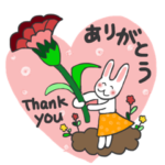 母の日父の日にも使える、ありがとうパック