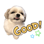 くとみんとく♪2022