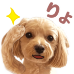 飛び出す!犬のまるちゃん 夏（実写）