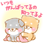 飛び出す⚡気遣い2❤️いやしばいぬ