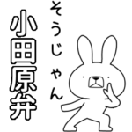 方言うさぎBIG 小田原弁編