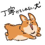 丁寧かもしれない犬