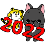 ブリンドルフレブルちゃん日本のお正月2022
