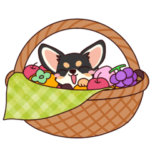 いやしの日常 チワワ（ブラックタン）編２