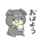 チワワのブラック　第二弾