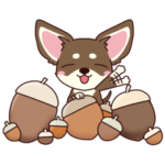 いやしの日常 チワワ夏秋編