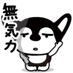 無気力なチワワ。