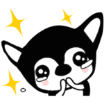 チワワのダブにも夏が来た。シーズン２