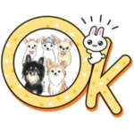 我が家のチワワがいっぱい3♪