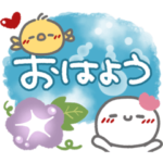 はーい！白玉です5❤『文字あり』