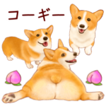 リアルなコーギーだよ
