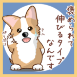 コーギーの日常 Ver8（普段使い）