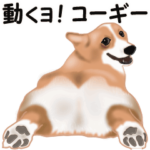動くヨ！コーギー