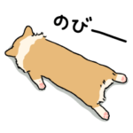 晴れ 時々 コーギー