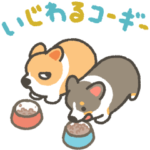 いじわるコーギー