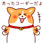太ったコーギーだよ