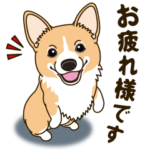 気軽にコーギー 行動編