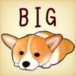 まじめなコーギー