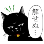 ぶさかわ黒猫／僕と魔女についての備忘録