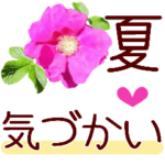 花＊暑い夏の気づかい＊猛暑はいのち大事に