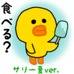 サリー/暑い夏にぴったり編