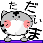 可愛いにゃんこ達ふわモコ特別編Ⅲ