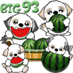 シーズー 93『夏』+Baby